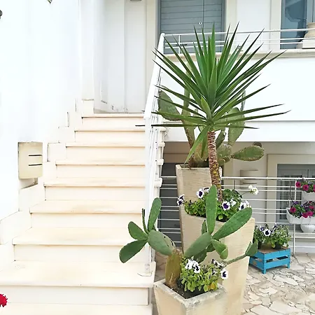 Apartment Le Terrazze *